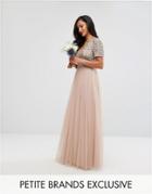 Maya Petite V Neck Maxi Tulle Dress With Tonal Delicate Sequins - Brown
