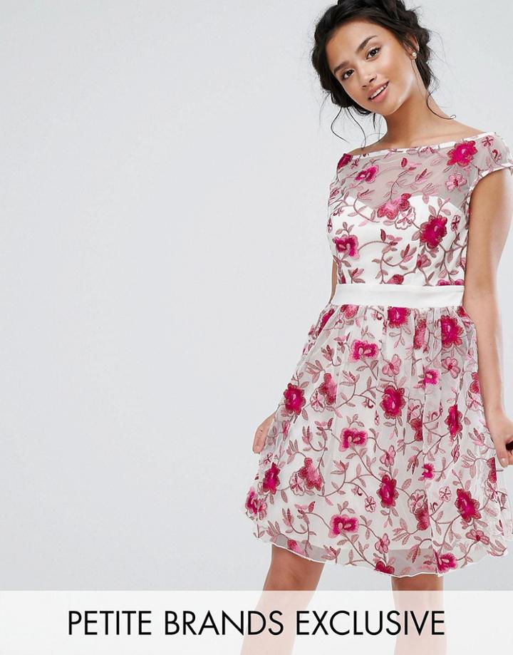 Little Mistress Petite Premium Embroidered Skater Dress - Multi