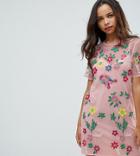 Asos Petite Premium Mesh T-shirt Dress With Floral Embroidery - Pink