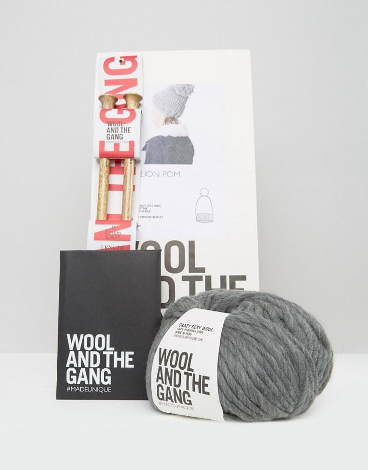 Wool & The Gang Diy Zion Lion Pom Hat Kit - Gray