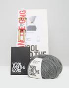 Wool & The Gang Diy Zion Lion Pom Hat Kit - Gray