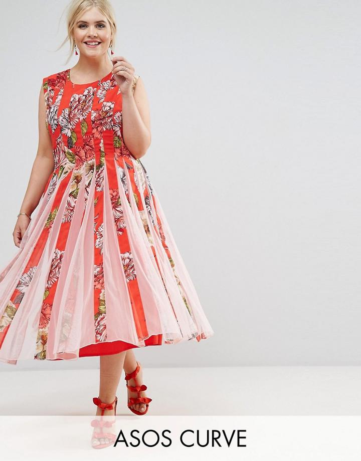Asos Curve Floral Mesh Insert Fit And Flare Midi Dress - Multi