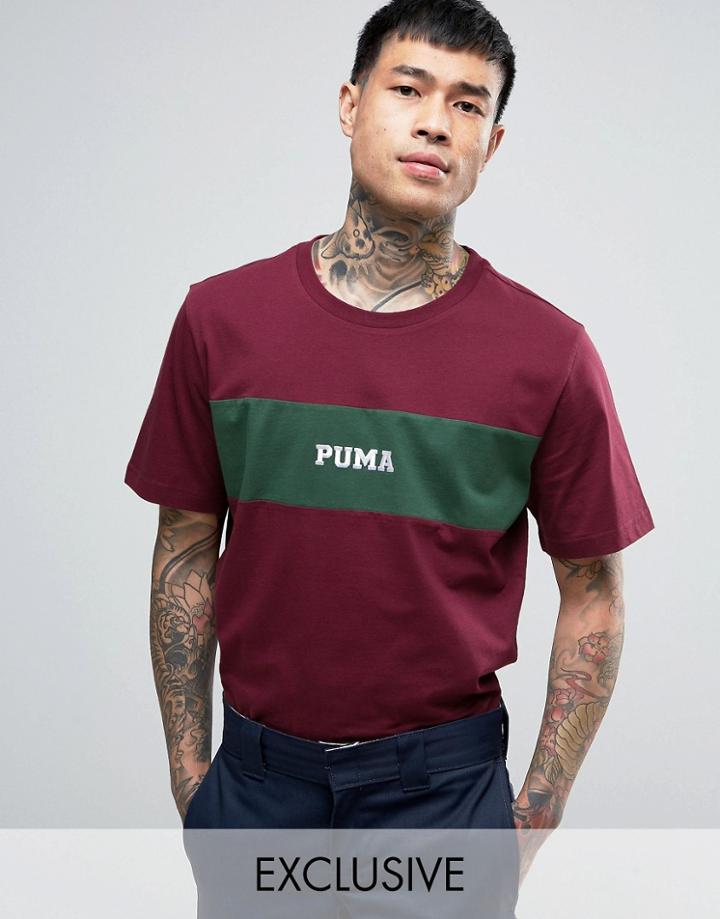 Puma Panel T-shirt In Burgundy Exclusive To Asos 57531102 - Red