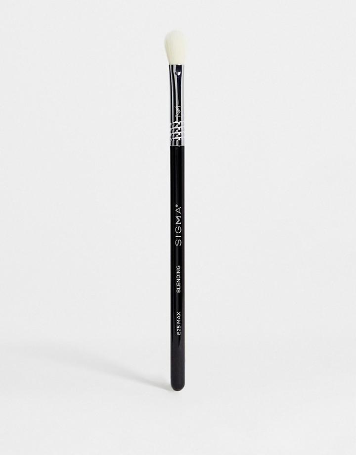 Sigma E25 Max Blending Brush-no Color