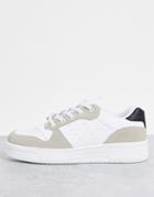 Truffle Collection Lace-up Sneakers In White/gray