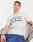 Dickies Aitkin T-shirt In Gray