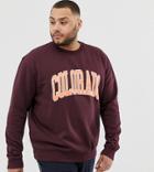 New Look Plus Sweat With Colorado In Burgundy - Red