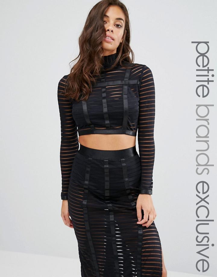 Naanaa Petite Mesh Stripe Crop Top - Black