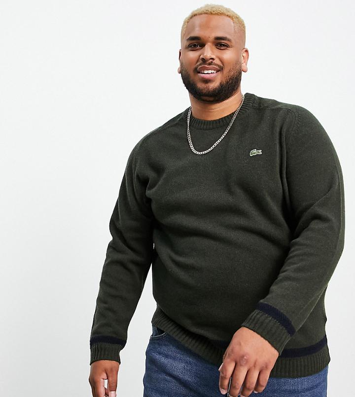 Lacoste Plus Crew Neck Sweater-green