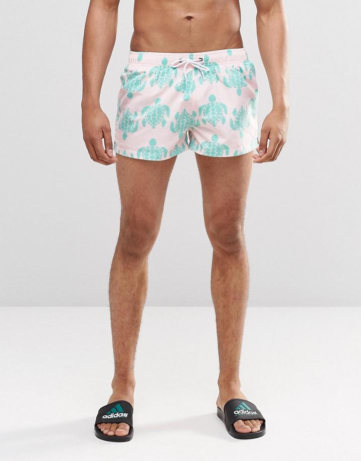 Swells Tortoise Short Shorts - Pink