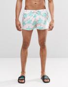 Swells Tortoise Short Shorts - Pink