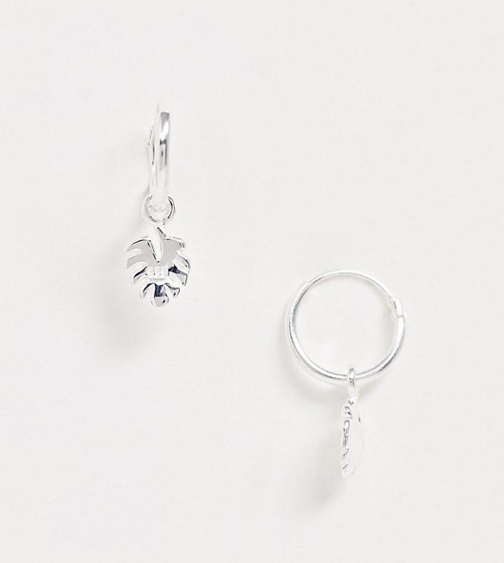 Asos Design Sterling Silver Hoop Earrings With Leaf Charm