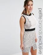 True Decadence Petite Scallop Lace Mini Pencil Dress - Multi