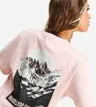 The North Face Back Natural Wonders T-shirt In Pink Exclusive At Asos