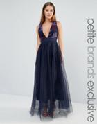 True Decadence Petite Plunge Front Lace Applique Maxi Dress With Tulle Skirt - Purple