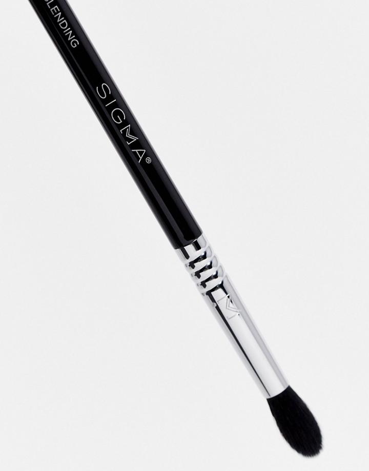 Sigma E49 Medium Tapered Blending Brush-no Color