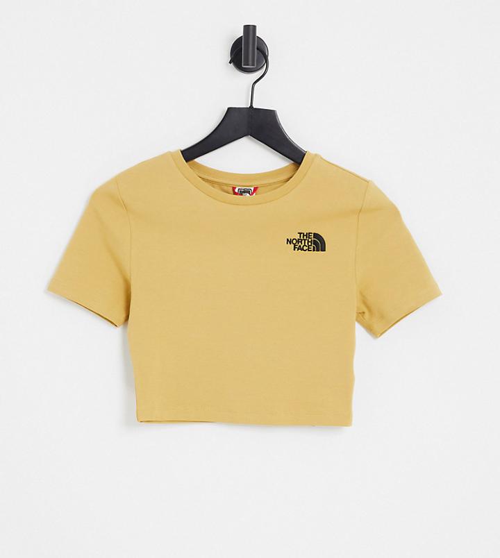 The North Face Cropped T-shirt In Tan Exclusive At Asos-brown