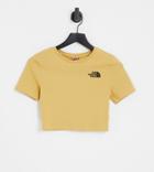 The North Face Cropped T-shirt In Tan Exclusive At Asos-brown