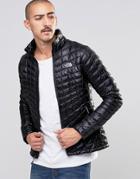 The North Face Thermoball Jacket In Black - Blue