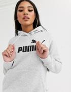 Puma Essentials Gray Logo Hoody-grey