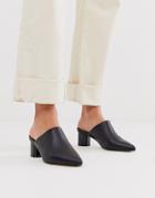Co Wren Pointed Heeled Mules In Black Croc