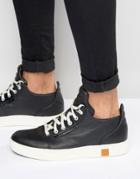 Timberland Amherst Sneakers - Black