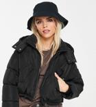 Topshop Petite Padded Crop Puffer Jacket With Hood In Black