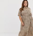 Asos Design Curve Midi Shirt Dress With Belt In Leopard - Multi