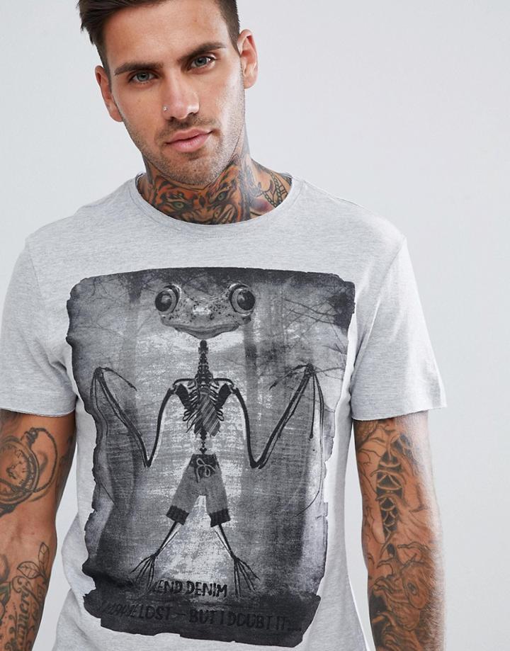 Blend Frog T-shirt - Gray