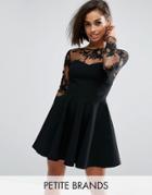 City Goddess Petite Skater Dress With Embroidered Sleeves - Black