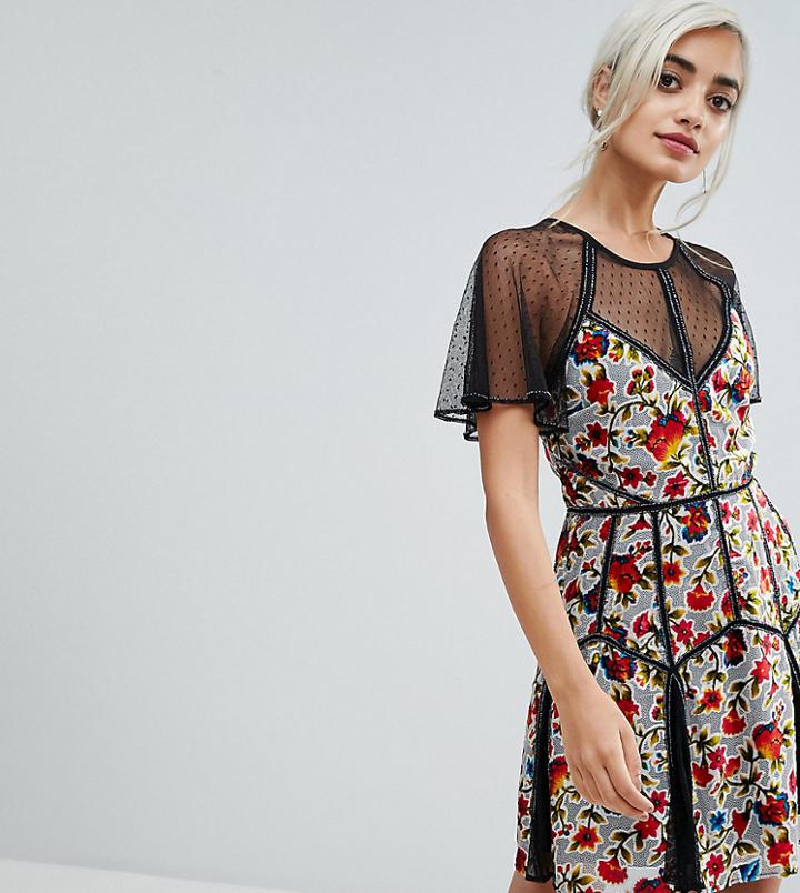 Frock And Frill Petite Floral Printed Velvet Mini Dress With Spotty Mesh Detail-multi