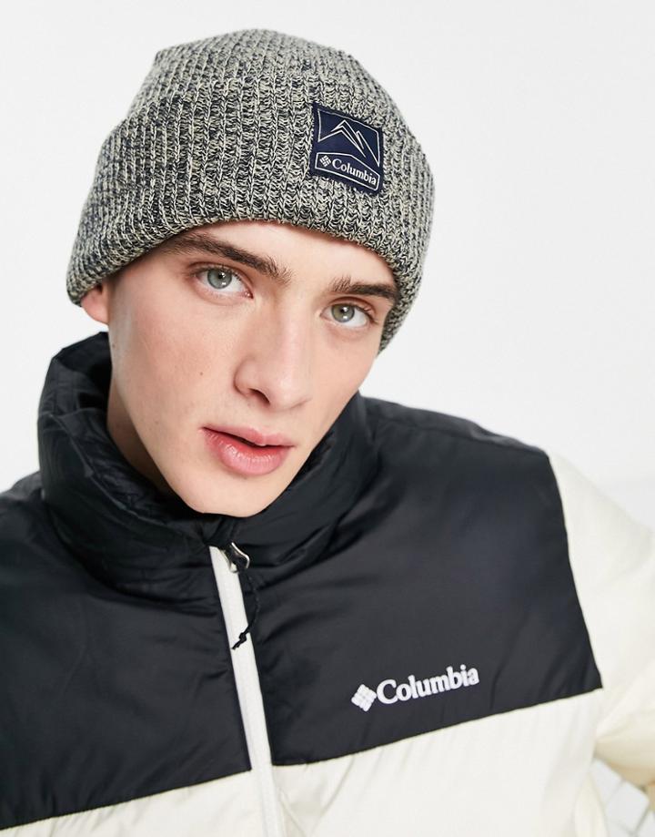 Columbia Whirlbird Beanie In Gray-white