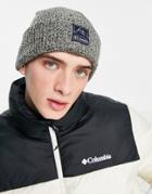 Columbia Whirlbird Beanie In Gray-white