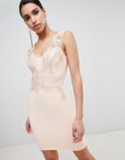 Lipsy Plunge Neck Lace Applique Bodycon Dress-pink