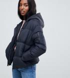 Brave Soul Tall Karen Padded Coat With Hood - Black