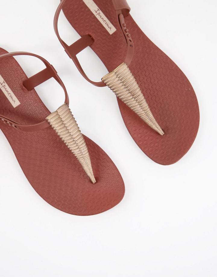 Ipanema Class Sandals In Bronze-brown
