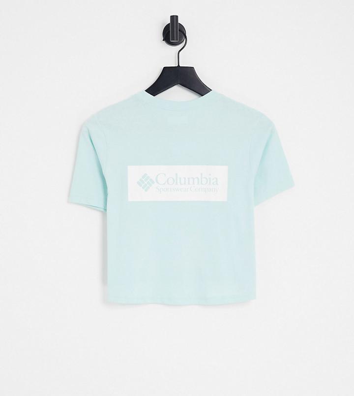 Columbia Csc River Back Print Cropped T-shirt In Light Pink - Exclusive To Asos-blue