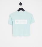 Columbia Csc River Back Print Cropped T-shirt In Light Pink - Exclusive To Asos-blue