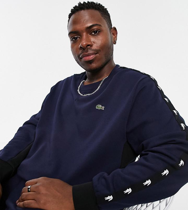 Lacoste Tape Detail Crew Neck Sweatshirt In Navy