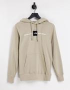 The North Face Red's Hoodie In Beige-neutral