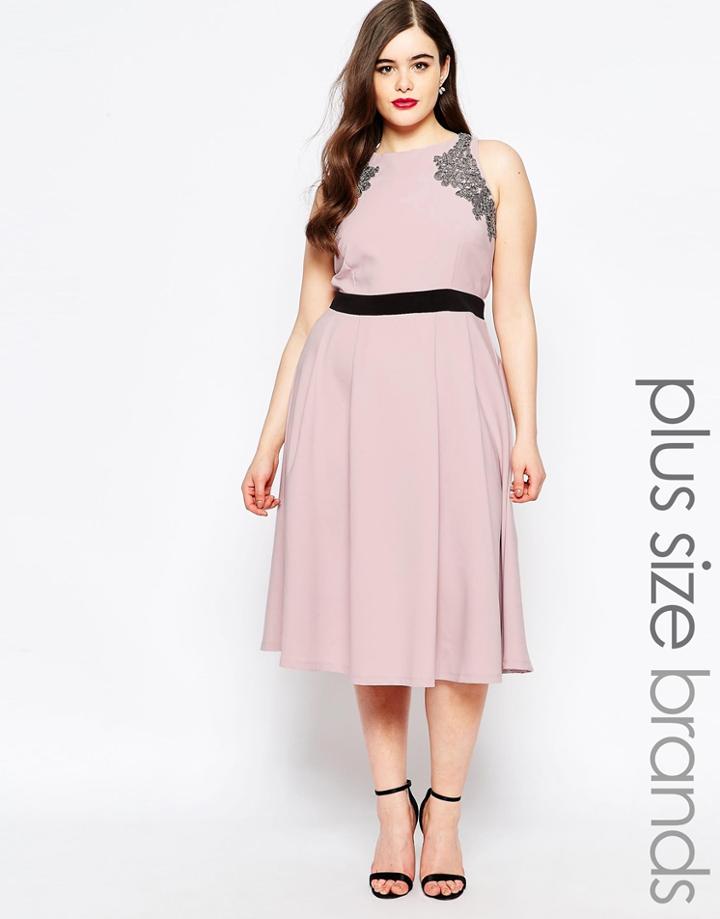 Little Mistress Plus Fit And Flare Midi Dress - Pink