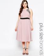 Little Mistress Plus Fit And Flare Midi Dress - Pink