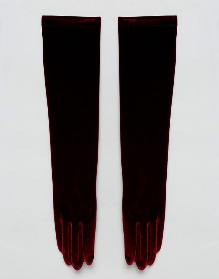 Vincent Pradier Long Velvet Gloves In Wine - Red