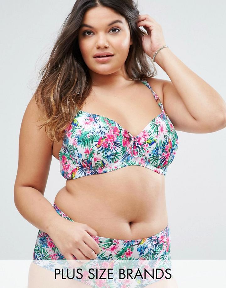Dorina Plus Size Underwired Bondi Bikini Top - White