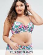Dorina Plus Size Underwired Bondi Bikini Top - White