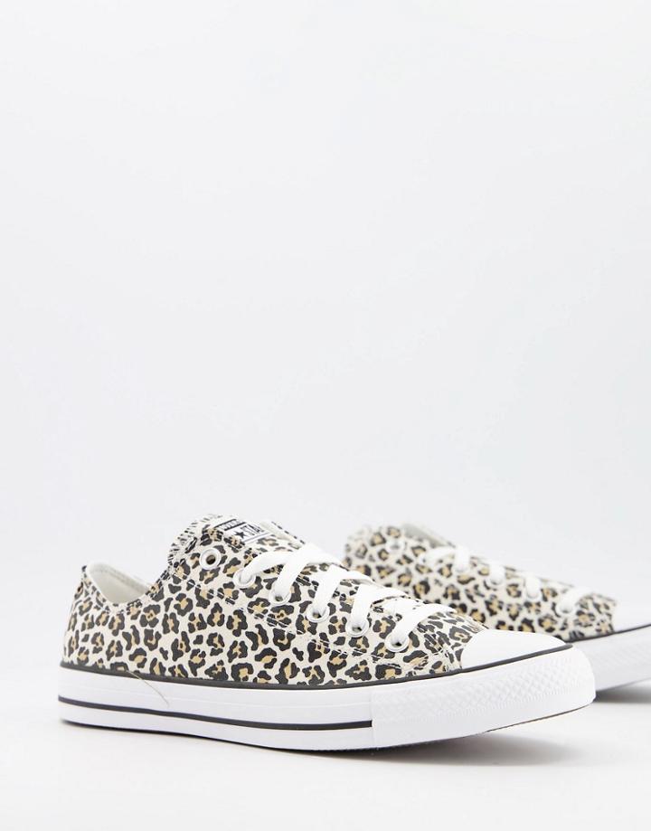 Converse Chuck Taylor All Star Ox Archive Print Cheetah Sneakers In Black