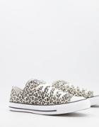 Converse Chuck Taylor All Star Ox Archive Print Cheetah Sneakers In Black