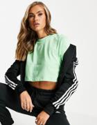 Adidas Originals Essentials Cropped T-shirt In Mint-green