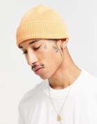 Weekday Stay Cotton Beanie In Orange