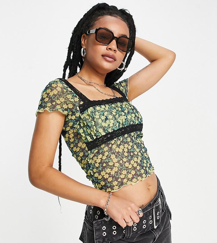 Topshop Petite Mesh Lace Trim Tee In Multi